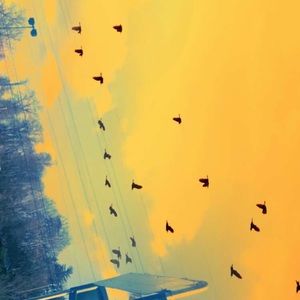 Meet your Posher, Juliana